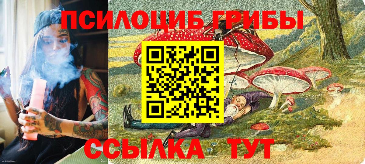 Галлюциногенные грибы Альметьевск