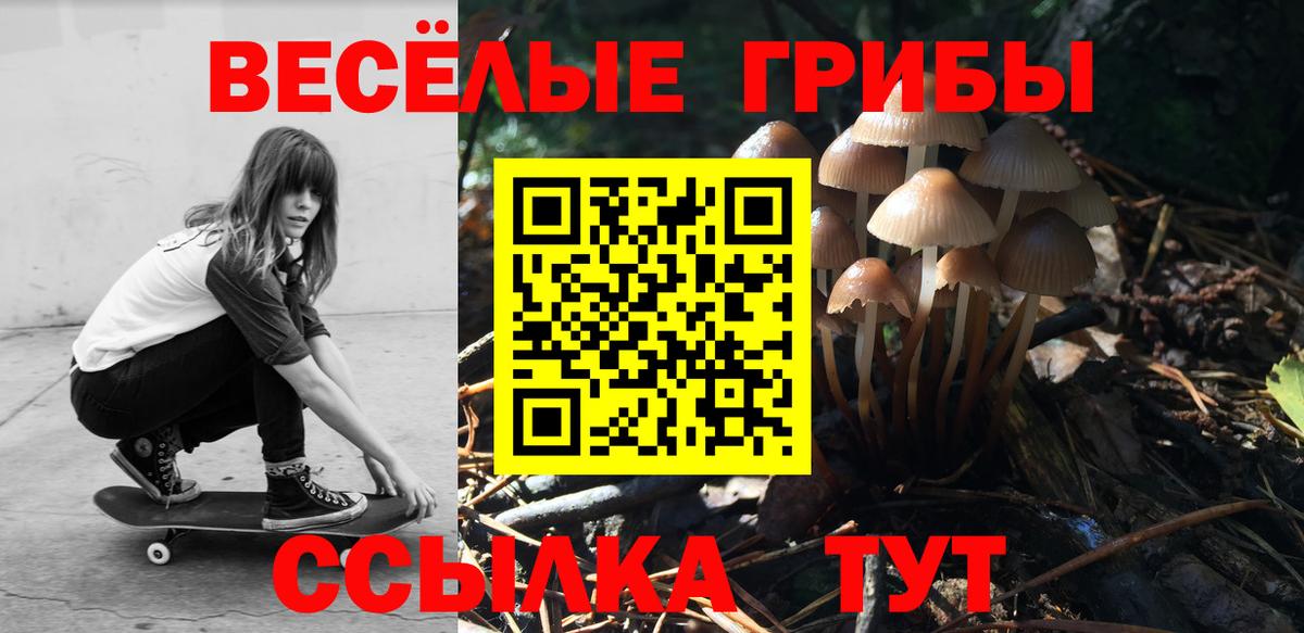 Галлюциногенные грибы Magic Shrooms  Вход с VPN  Альметьевск  Псилоцибиновые грибы MAGIC MUSHROOMS 